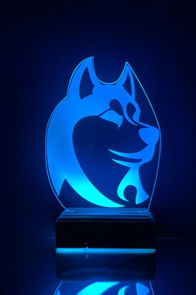 Husky Köpek 3D 16 Renk Gece Lambası