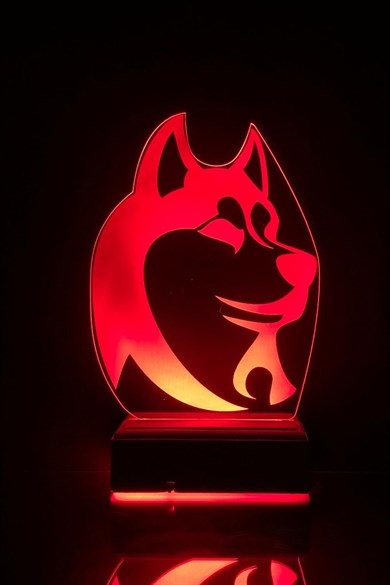 Husky Köpek 3D 16 Renk Gece Lambası