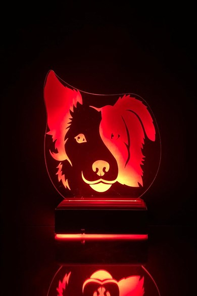 Köpek 3D 16 Renk Gece Lambası