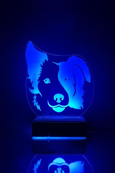 Köpek 3D 16 Renk Gece Lambası